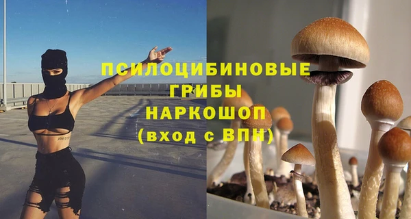 spice Лиски