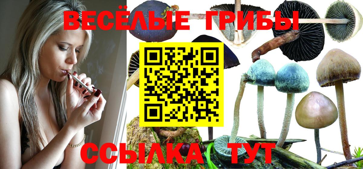 Галлюциногенные грибы Psilocybine cubensis Мариинск